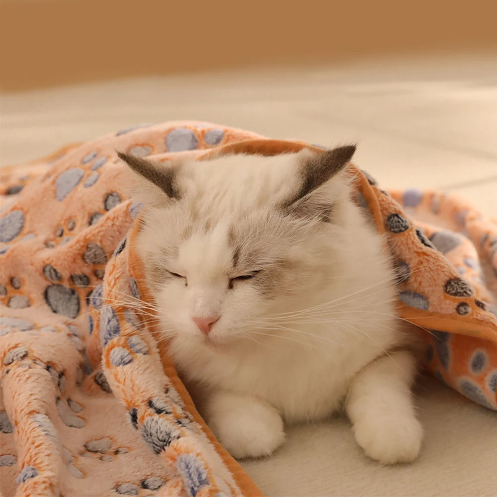 High Quality Soft Fluffy Pet Blanket Cute Dog Cat Paw Print Thick Coral Fleece Blankets Pet Mat Warm and Comfortable Thermal Pad